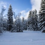 Winter Thüringer Wald Pixabay CC0