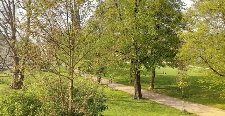 Weimar: Baumfällarbeiten im Park an der Ilm und den Schlossparks Tiefurt und Belvedere