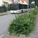 Jena Bus Jena West Ersatzhaltestelle TNetzbandt thib24