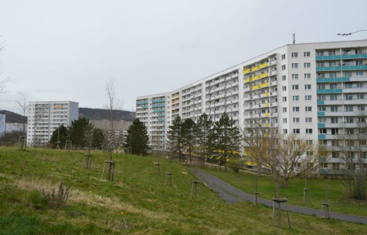 Thüringer Wohnungs- und Immobilienwirtschaft  warnt vor Wohnungspopulismus im Wahlkampf