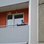 Neubau Wohnung Block Balkon TNetzbandt thib24