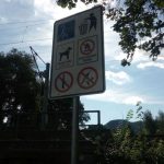 Schild Verbot Eingang Paradies Oberaue Kahlaische Straße TNetzbandt thib24.de
