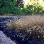 Brandfall Foto Polizei