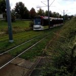 Erfurt Straßenbahn Buga Rasengleis TNetzbandt thib24.de 750