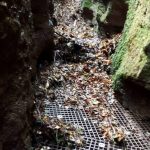 landgrafenschlucht eisenach f stadt eisenach