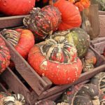 Kürbis Pixabay Markt