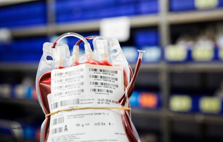 Jena: Blutspenden am UKJ in Zeiten von Corona