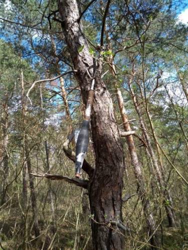 Rothenstein: Panzerfaust an Baum gefunden