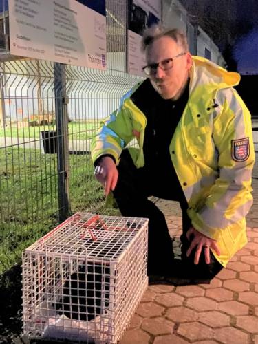 Nordhausen: Katze mit Pausenbrot von Parkplatz gerettet