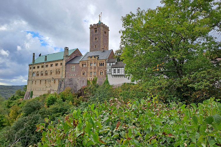Thüringen: Vorschläge für „Thüringer Rose“ werden gesucht