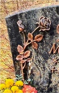Kupferrose