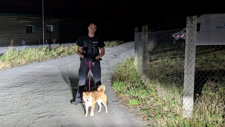 Gefährlicher Ausflug auf der A9: Polizei rettet vermissten Shiba Inu „Simba